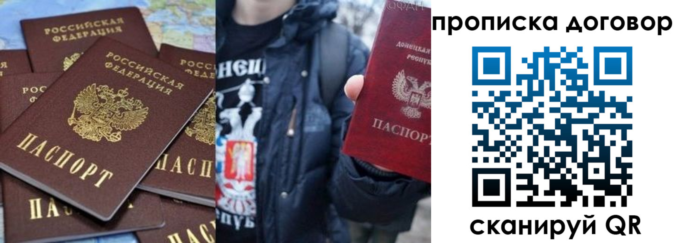 прописка поиск в Новгородской области